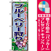 のぼり旗 (1380) ブルーベリー狩り [プレゼント付]
