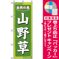 のぼり旗 (3247) 山野草 [プレゼント付]
