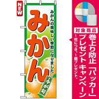 のぼり旗 (4775) みかん 今が旬 みかんの美味しい季節になりました [プレゼント付]