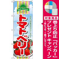 のぼり旗 (7951) トマトベリー [プレゼント付]