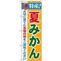 のぼり旗 特産!夏みかん (21479)