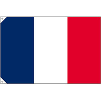 販促用国旗 フランス サイズ:小 (23674)