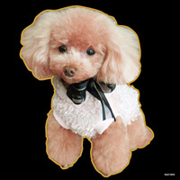 デコシール 犬 プードル (写真2) サイズ:ビッグ W600×H600 (61940)