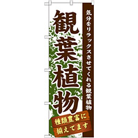 のぼり旗 表示:観葉植物 (GNB-1071)