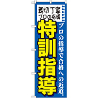 のぼり旗 特訓指導 (GNB-1594)