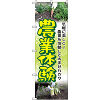 のぼり旗 農業体験 (GNB-2533)