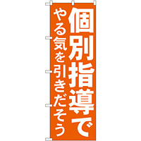 のぼり旗 個別指導でやる気を引きだそう (GNB-60)