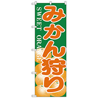 のぼり旗 みかん狩り (H-384)