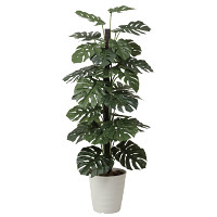 光触媒 人工観葉植物 造花 モンステラ  1.8 (高さ180cm)