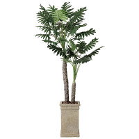 光触媒 人工観葉植物 セロームW2.0 (高さ200cm)