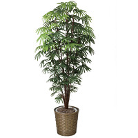 【送料無料】シュロチク 1.8 (人工観葉植物) 高さ180cm 光触媒機能付 (501F570)