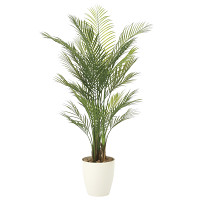 【送料無料】アレカパーム1.5(ポリ製) (屋外用人工観葉植物) 高さ150cm ※光触媒ではありません (907A340)