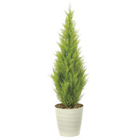 【送料無料】ゴールドクレスト1.3(ポリ製) (屋外用人工観葉植物) 高さ130cm ※光触媒ではありません (910A280)