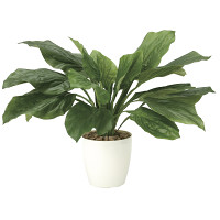【2019年新商品】ホスター (人工観葉植物) 高さ46cm 光触媒 (912A50)
