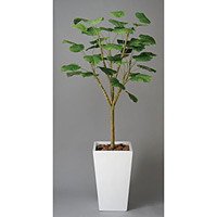 【送料無料】ウンベラータダブル1.8 (人工観葉植物) 高さ180cm 光触媒機能付 (118G750)