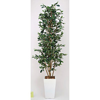 【送料無料】ガジュマルタワー 1.8 (人工観葉植物) 高さ180cm 光触媒機能付 (121B550)