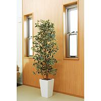 【送料無料】ガジュマルタワーG/W 1.8 (人工観葉植物) 高さ180cm 光触媒機能付 (122B550)