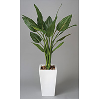 光触媒 人工観葉植物 ストレチアW1.3 (高さ130cm)