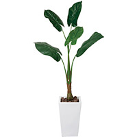【送料無料】くわず芋 (人工観葉植物) 高さ140cm 光触媒 (133A350)