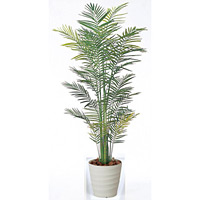 【送料無料】トロピカルアレカパーム (人工観葉植物) 高さ210cm 光触媒 (142A430)