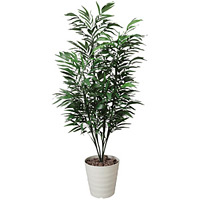 【送料無料】バンブーパーム (人工観葉植物) 高さ180cm 光触媒 (144A300)