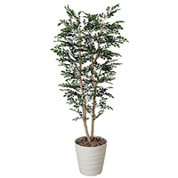 光触媒 人工観葉植物 造花 トネリコ 1.8 (高さ180cm)