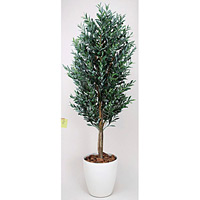 オリーブ (人工観葉植物) 高さ180cm 光触媒 (149B650)