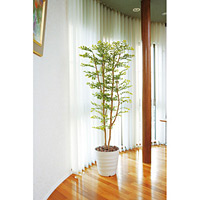 光触媒 人工観葉植物 ゴールデンリーフ 1.8 (高さ180cm)
