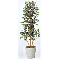 【送料無料】ガジュマルタワーG/W (人工観葉植物) 高さ170cm 光触媒 (160B430)