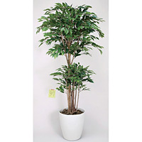 光触媒 人工観葉植物 造花 トロピカルベンジャミン 1.6 (高さ160cm)