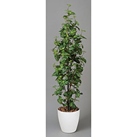 【送料無料】シンゴニューム (人工観葉植物) 高さ170cm 光触媒 (174A300)