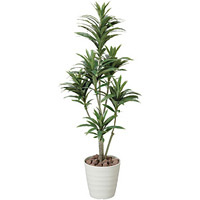 光触媒 人工観葉植物 ドラセナコンパクタ 1.25 (高さ125cm)