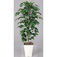 フィカスベンジャミン 1.2 (人工観葉植物) 高さ120cm 光触媒機能付 (189A170)