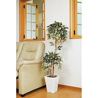 【送料無料】 斑入りベンジャミンダブル (人工観葉植物) 高さ120cm 光触媒 (192B180)