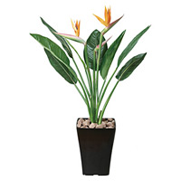 【送料無料】ストレチアS花付 (人工観葉植物) 高さ100cm 光触媒 (195B275)