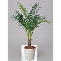 【送料無料】アレカパーム (人工観葉植物) 高さ115cm 光触媒 (197A180)