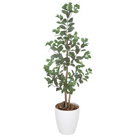 【送料無料】オリエンタルフイカス (人工観葉植物) 高さ115cm 光触媒 (204A150)
