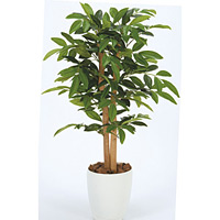 【送料無料】アルデシア (人工観葉植物) 高さ90cm 光触媒 (208A100)