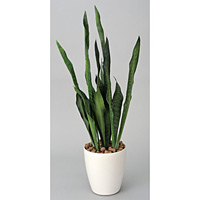 【送料無料】サンセベリア(ポリ製) (人工観葉植物) 高さ77cm 光触媒機能付 (219A100)【在庫限り廃盤】
