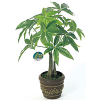 光触媒 人工観葉植物 造花 パキラポットM (高さ41cm)