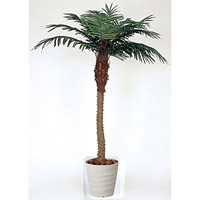 【送料無料】フェニックス 1.8 (人工観葉植物) 高さ180cm 光触媒機能付 (353A450)