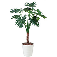 【送料無料】セローム (人工観葉植物) 高さ130cm 光触媒 (365B220)