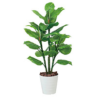 【送料無料】フレッシュポトス (人工観葉植物) 高さ115cm 光触媒 (367A160)