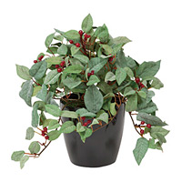 光触媒 人工観葉植物 造花 実付ローレル(フロック加工) (高さ25cm)