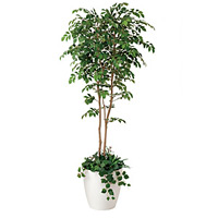 光触媒 人工観葉植物 造花 マウンテンアッシュ1.8植栽付 (高さ180cm)