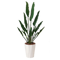 【送料無料】トラベラーズパーム (人工観葉植物) 高さ155cm 光触媒 (411A300)