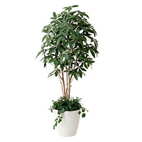 【送料無料】パキラ 植栽付 (人工観葉植物) 高さ180cm 光触媒 (412A450)
