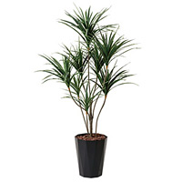 【送料無料】ユッカ (人工観葉植物) 高さ190cm 光触媒 (414A380)