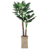 セローム (人工観葉植物) 高さ200cm 光触媒 (415A550) (※送料見積り)