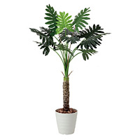 【送料無料】セローム (人工観葉植物) 高さ130cm 光触媒 (425A175)